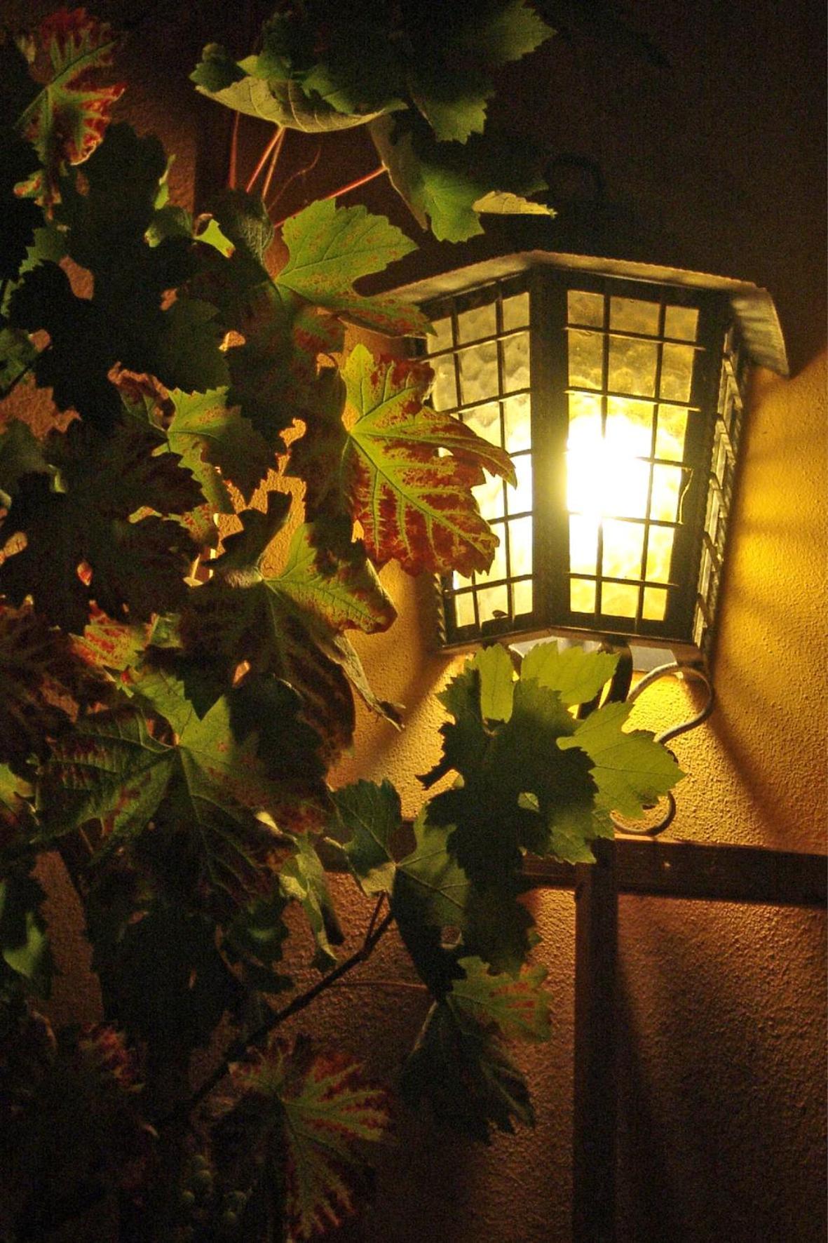 Elbschloesschen Refugium Hotel Pirna Buitenkant foto